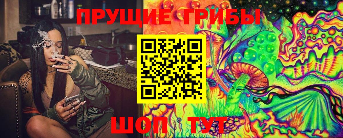 Псилоцибиновые грибы MAGIC MUSHROOMS  Вход с VPN  Галлюциногенные грибы Psilocybine cubensis  Камышин 