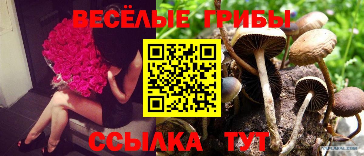 Галлюциногенные грибы ЛСД Камышин
